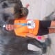 A smiling woman with cerebral palsy, wearing an orange t-shirt and running shoes, stands with a large bronze tiger statue.