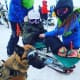 A teen is strapped into an adaptive ski by instructors with a German Shepherd in the foreground.