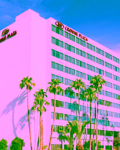Crowne Plaza Phoenix hotel white with palm trees in front